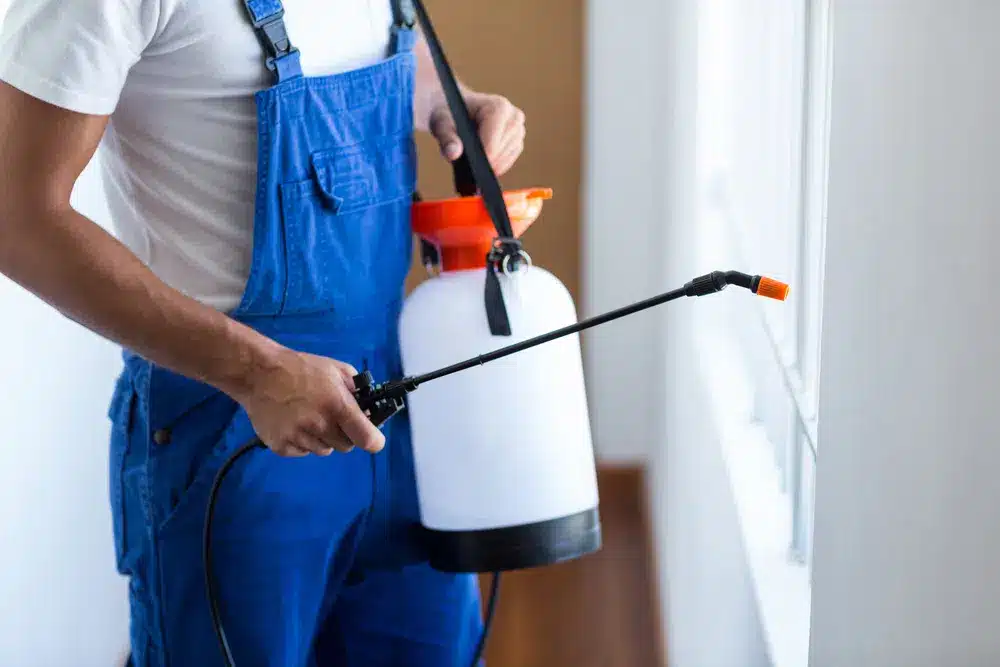 Bed Bug Exterminator Los Angeles