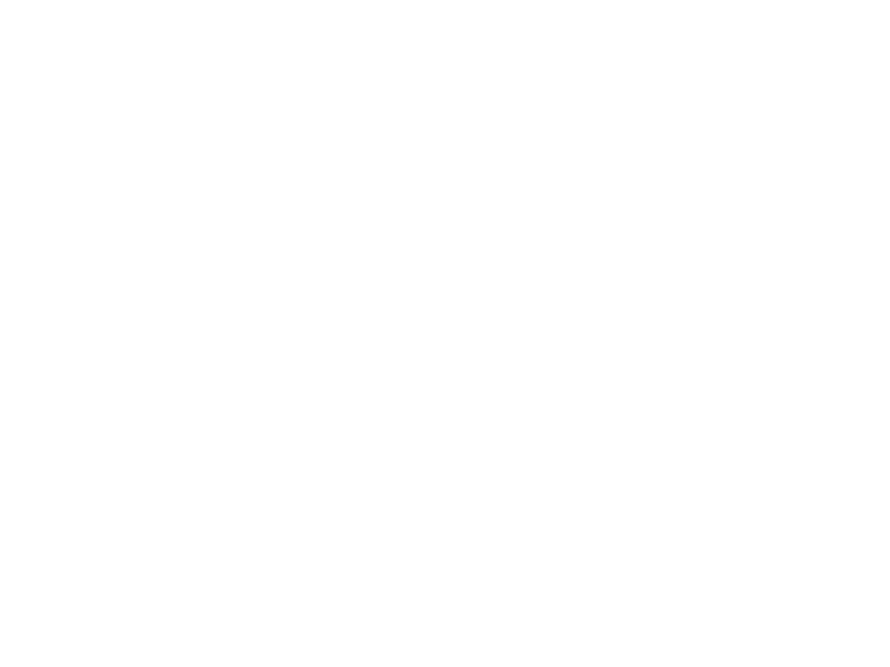 Fleet Management Solutions
