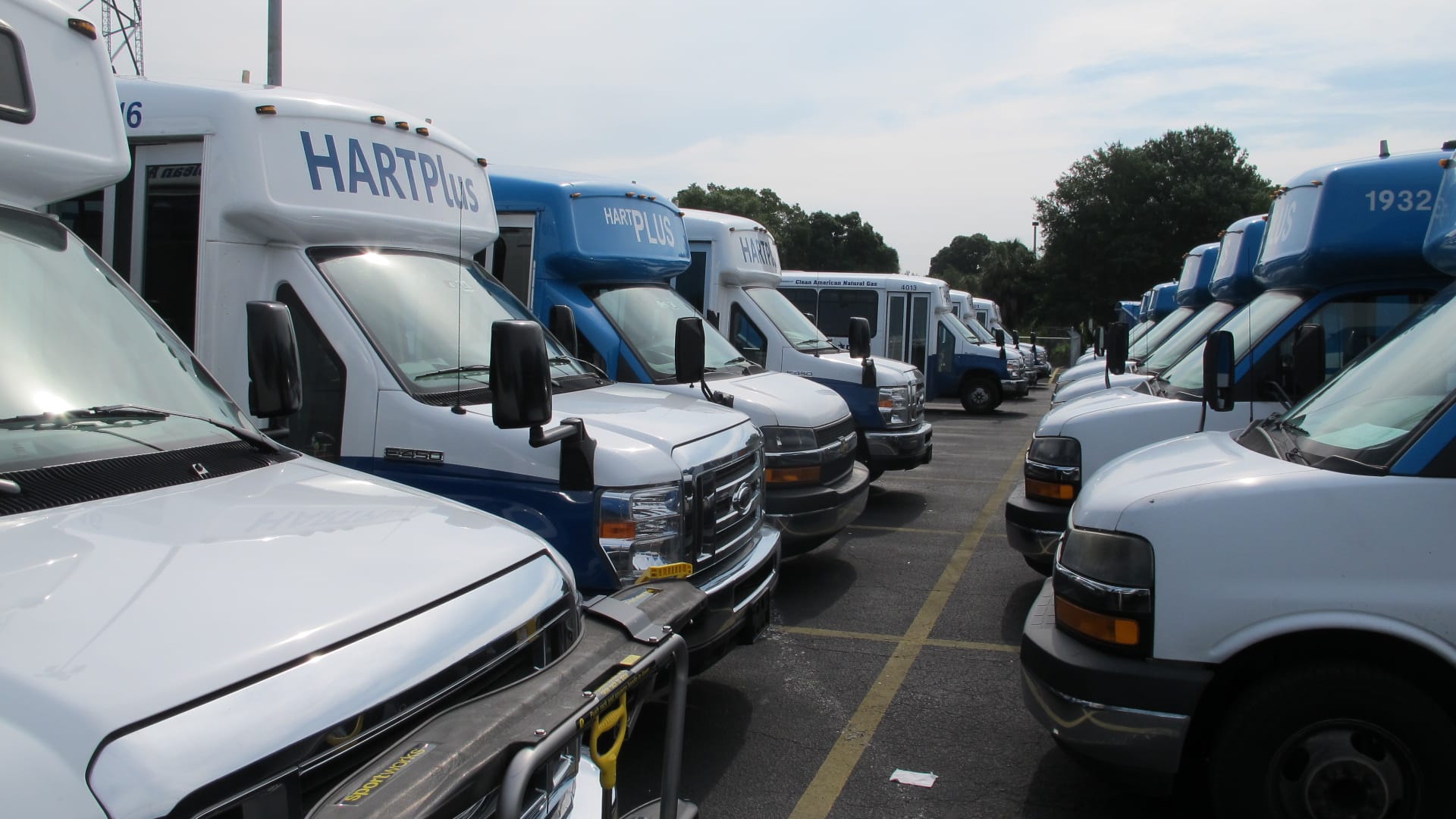 city buses for regional transportation